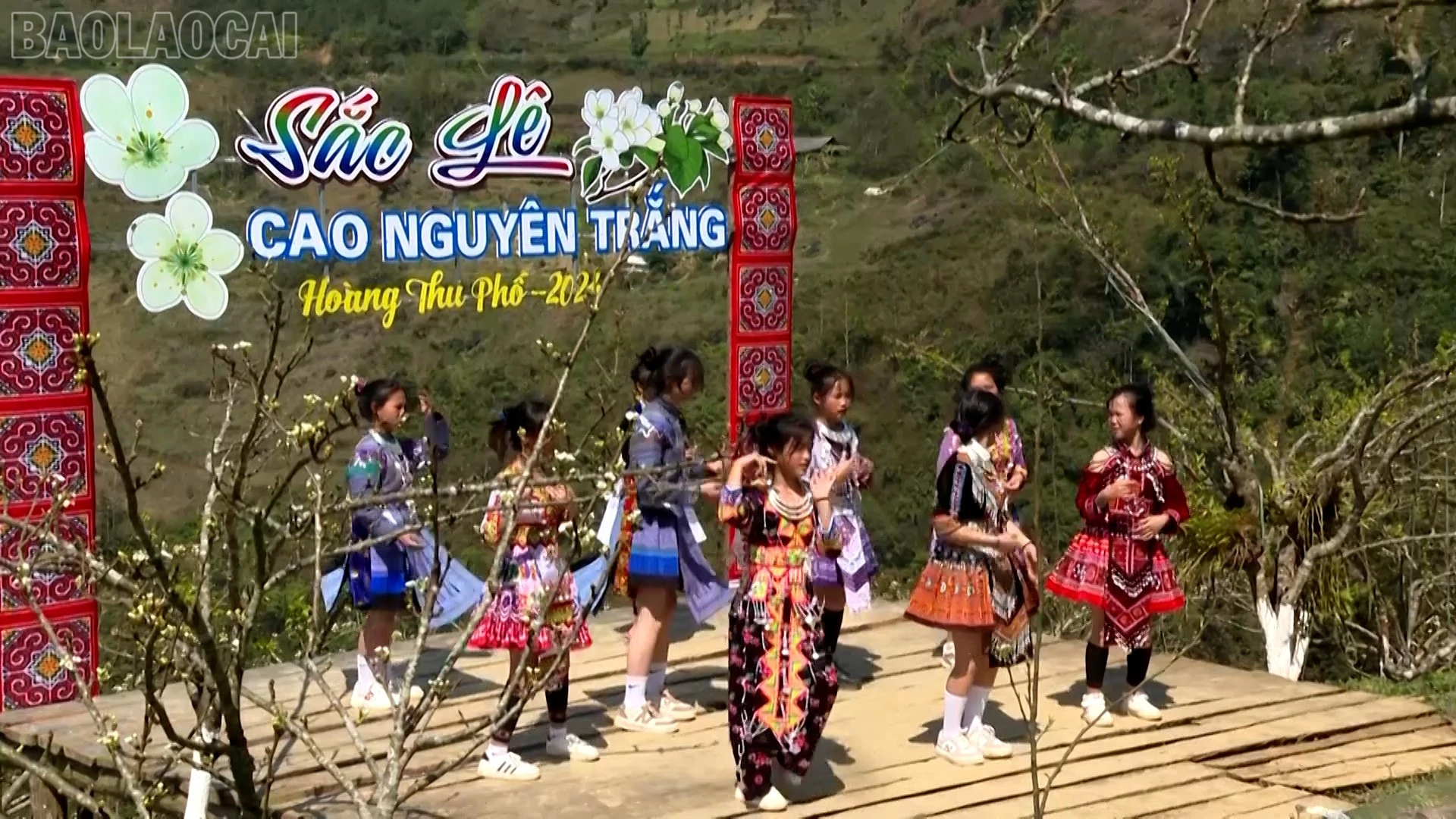 baolaocai-tl_hoang-ha-12.jpg
