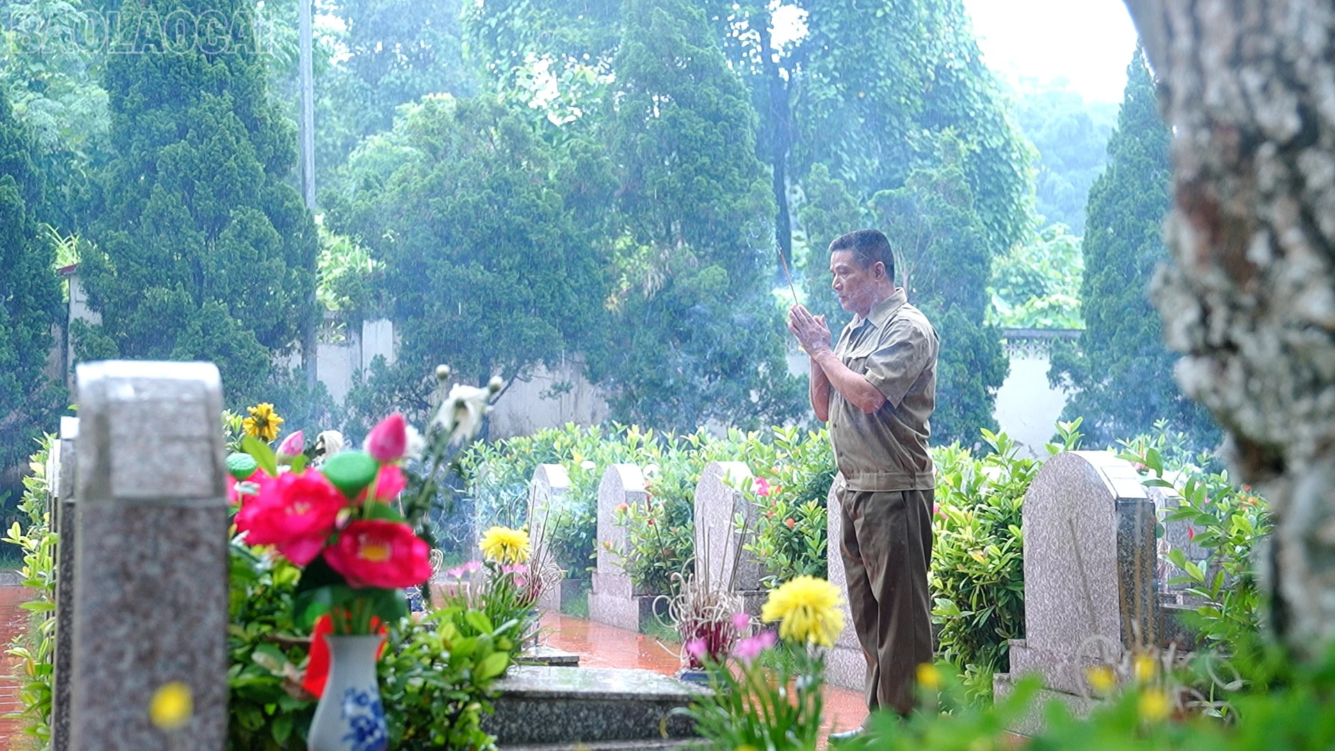 baolaocai-tl_nghia-trang-8.jpg