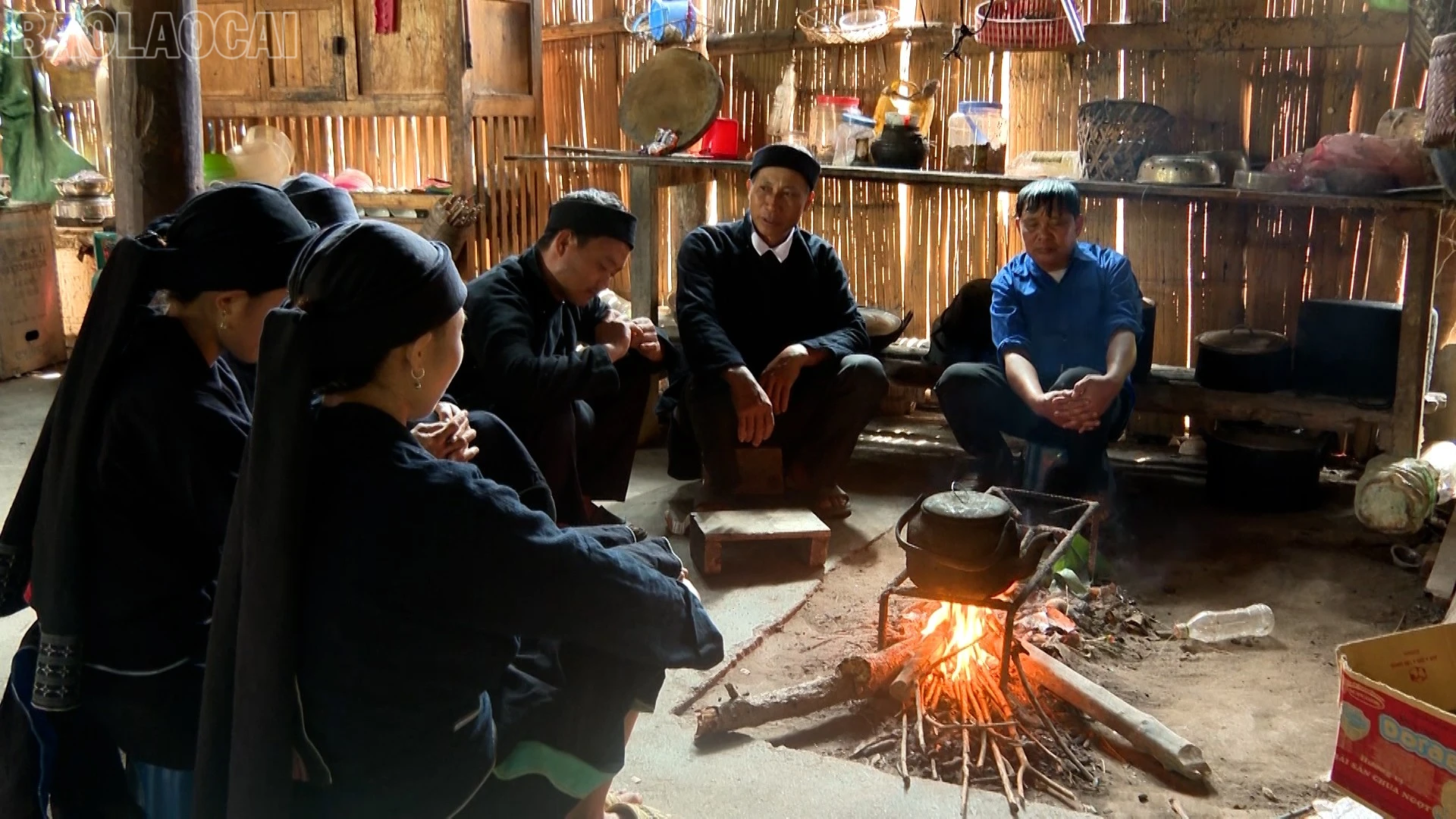 baolaocai-tl_la-chi-7253.jpg