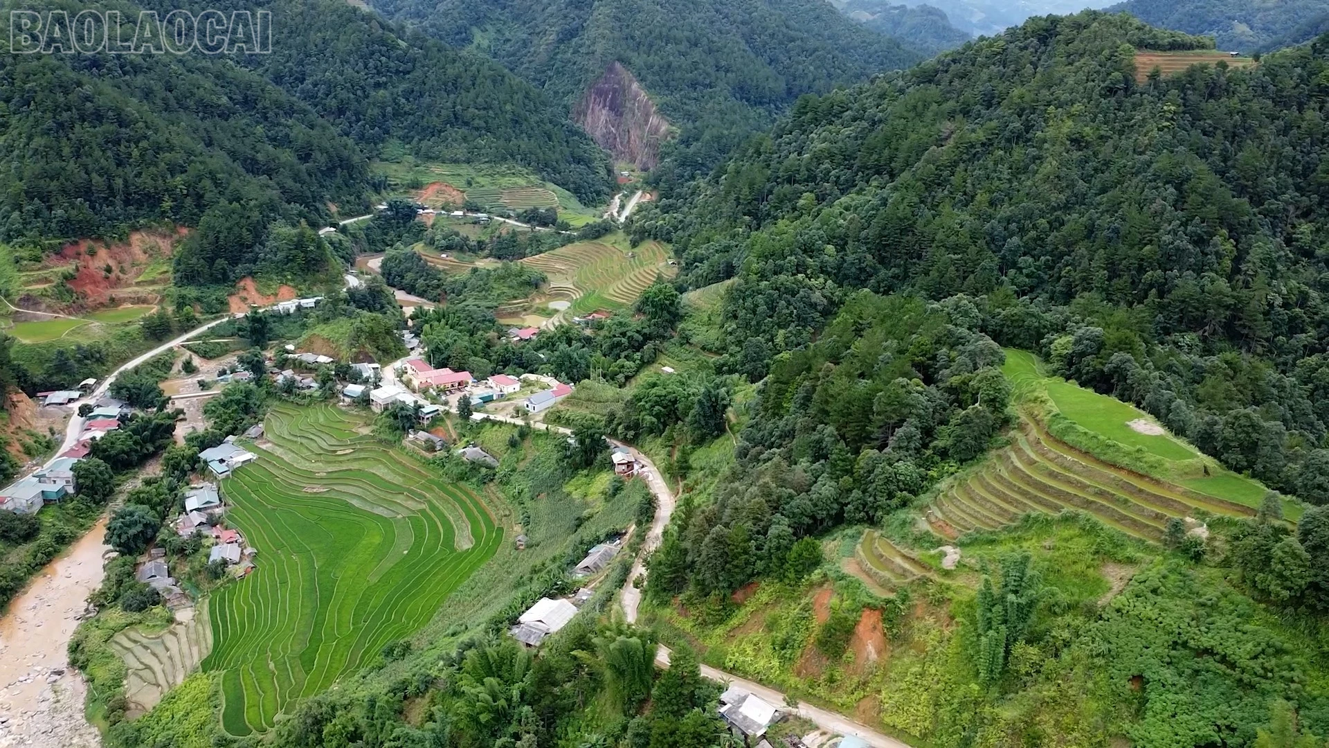 baolaocai-tl_lao-chai-8.jpg