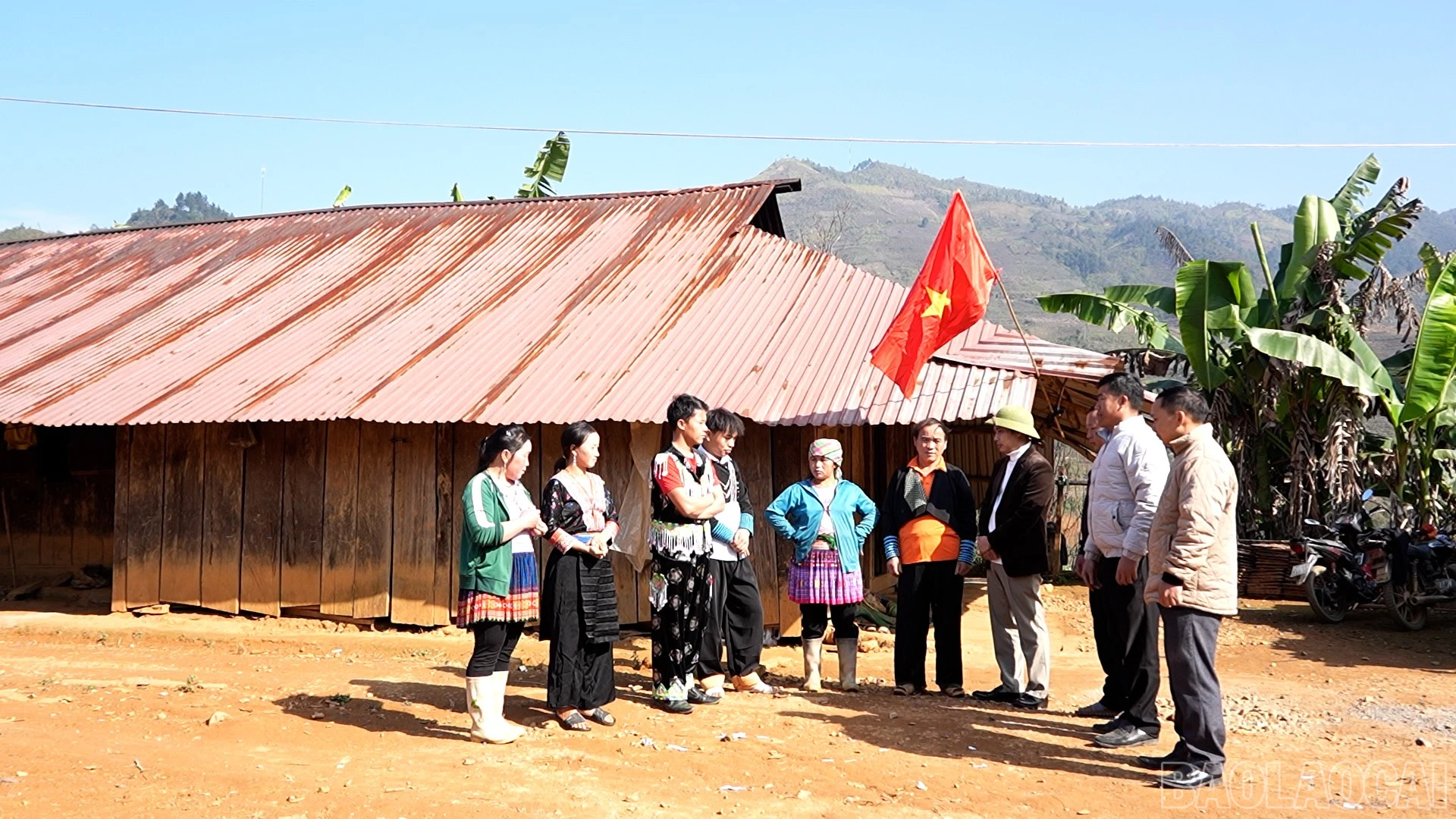 baolaocai-br_ta-3.jpg