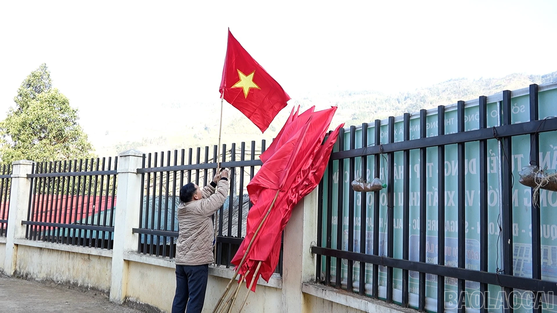 baolaocai-br_ta-7.jpg