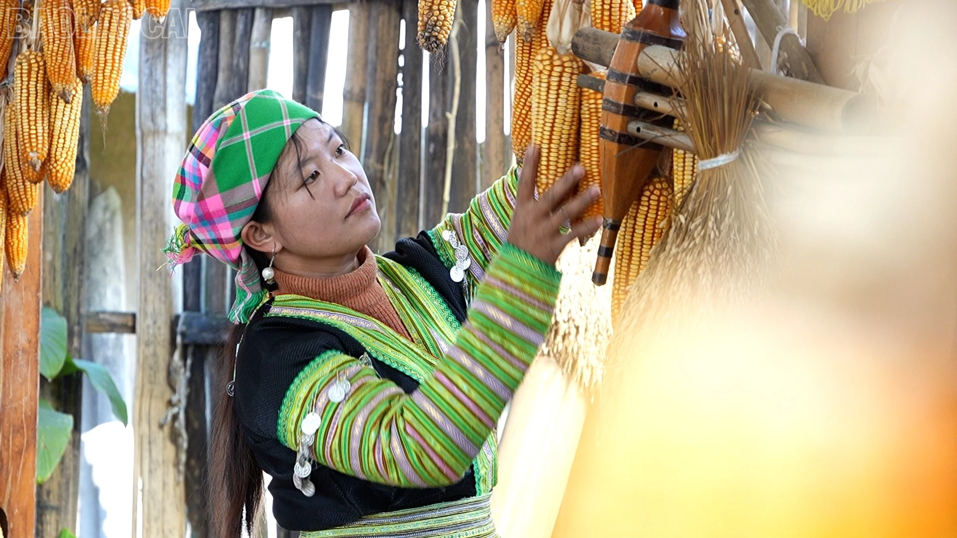 baolaocai-tl_anh-sang-8.jpg