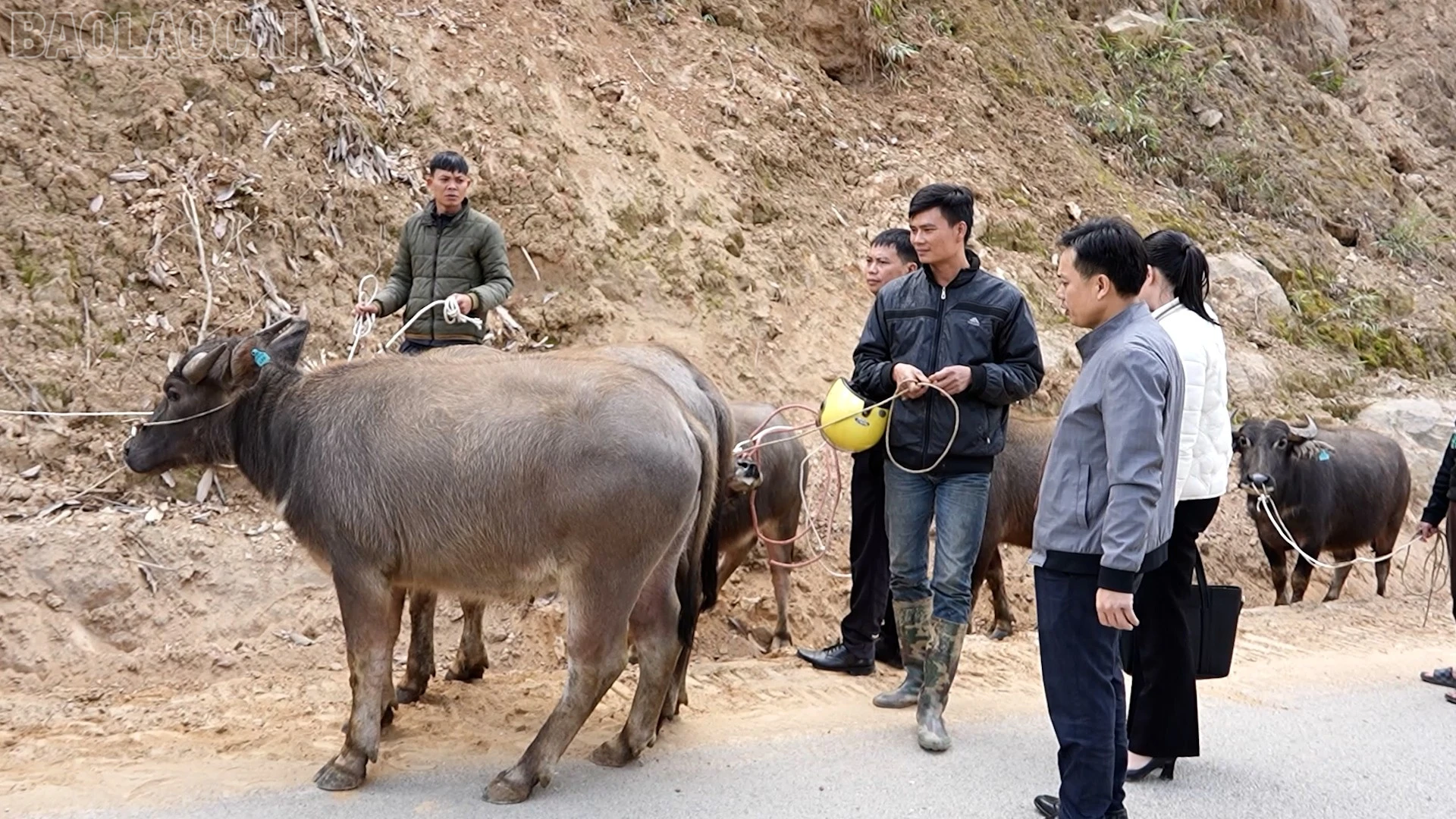 baolaocai-tl_giam-ngheo-3.jpg