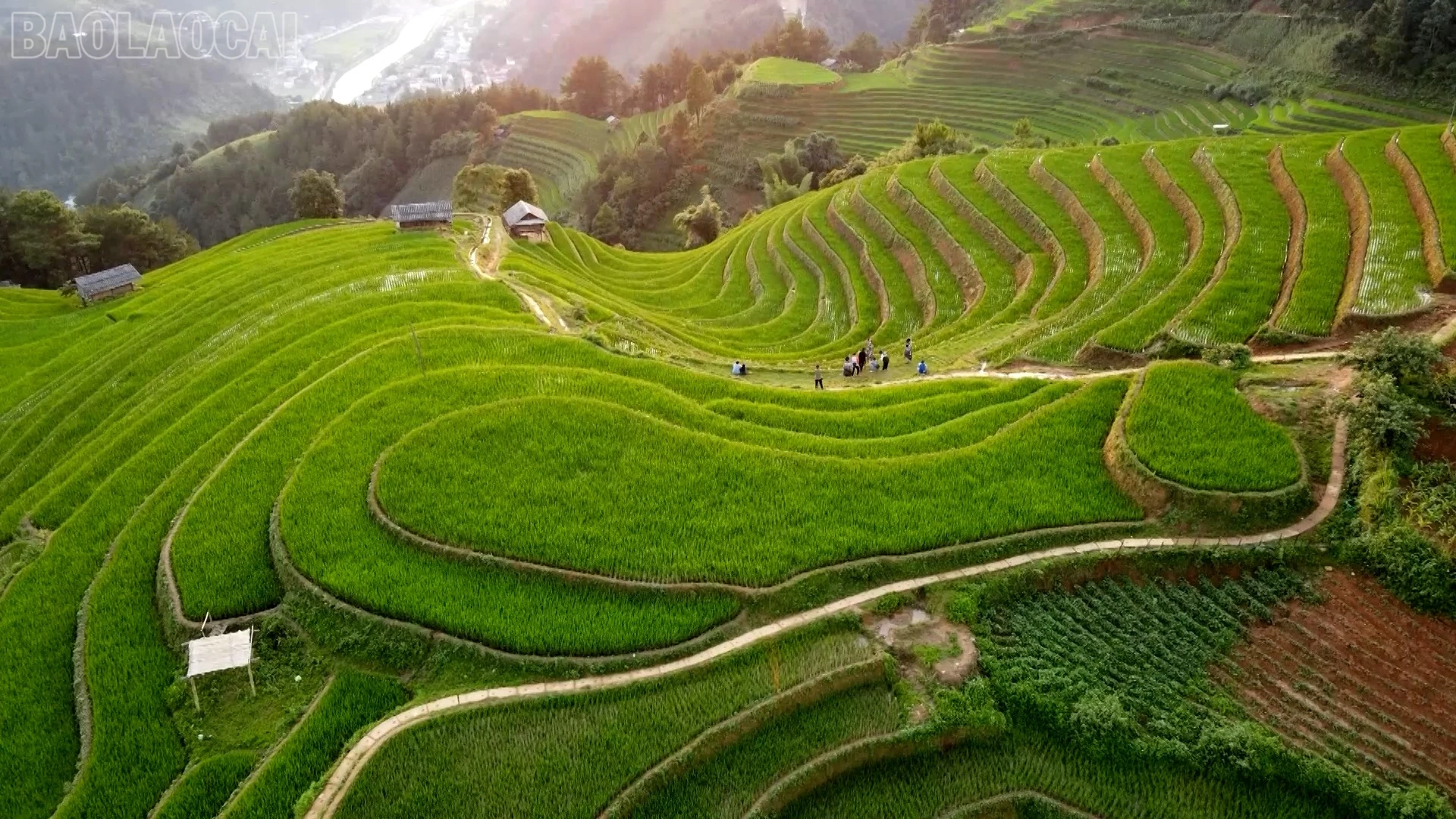 Vùng cao Lào Cai đang đổi thay từng ngày.