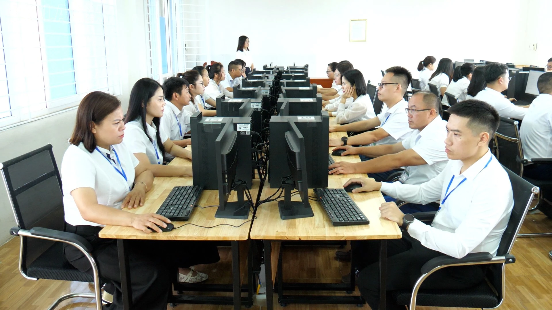 baolaocai-tl_dong-5.jpg