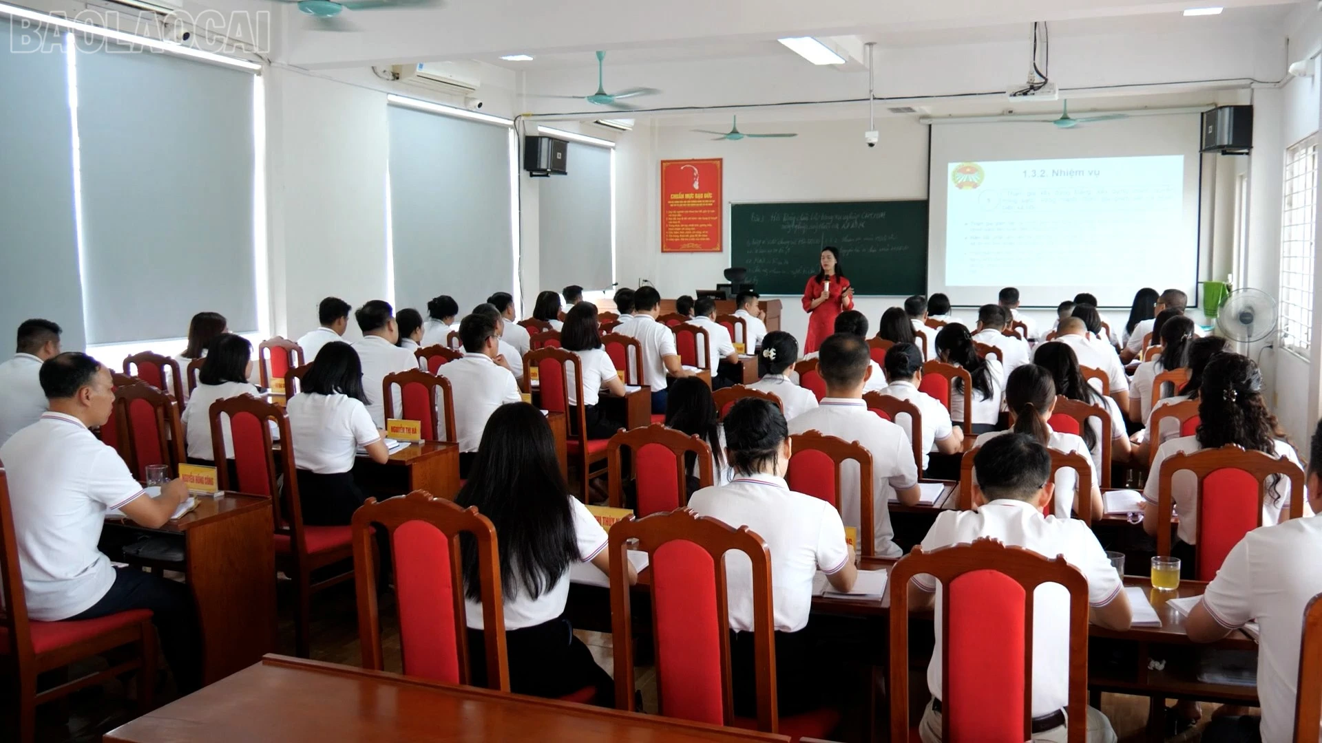 baolaocai-tl_dong-kien-tao-1.jpg