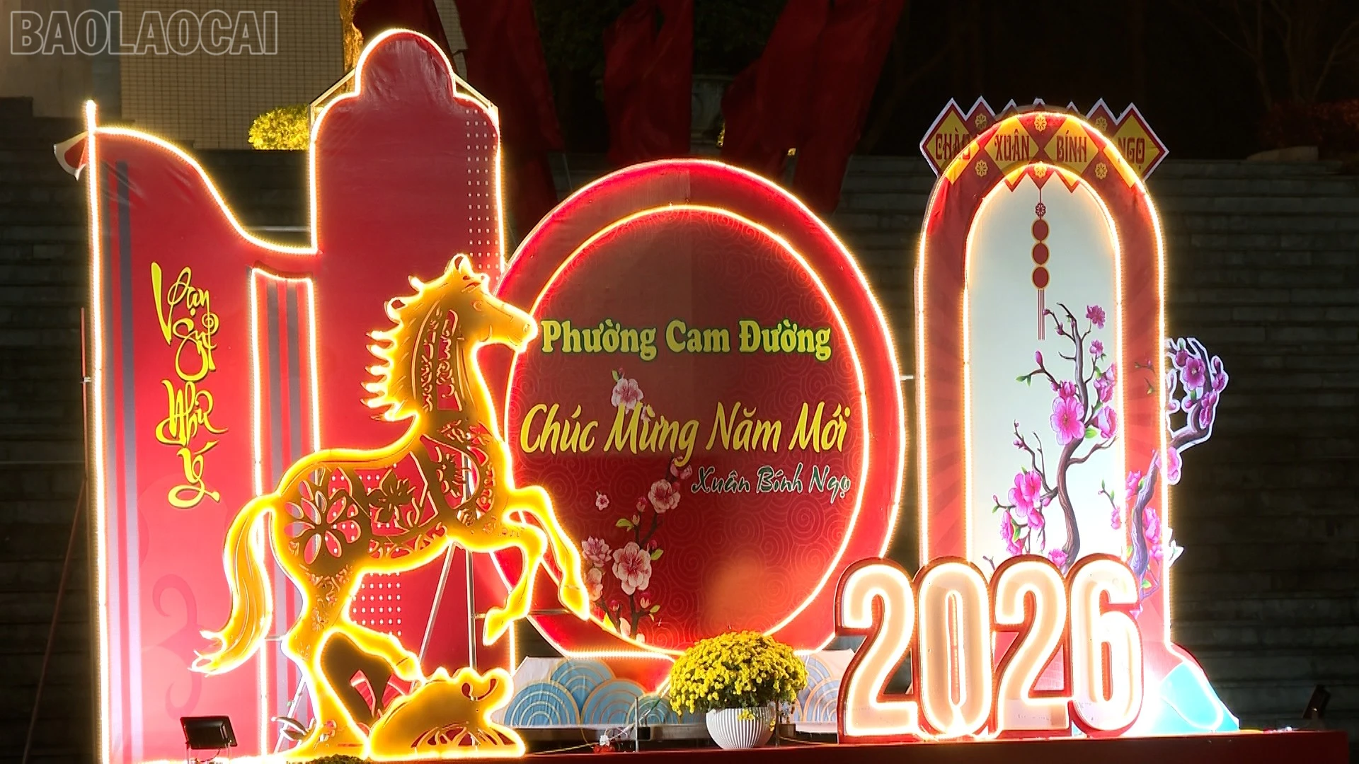 baolaocai-tl_cam-duong-10.jpg