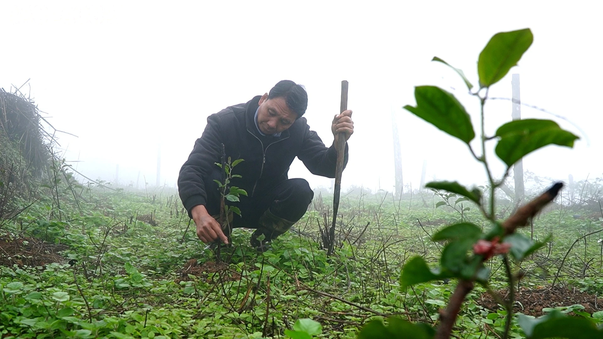 baolaocai-tl_khoa-hoc-mo-loi.jpg