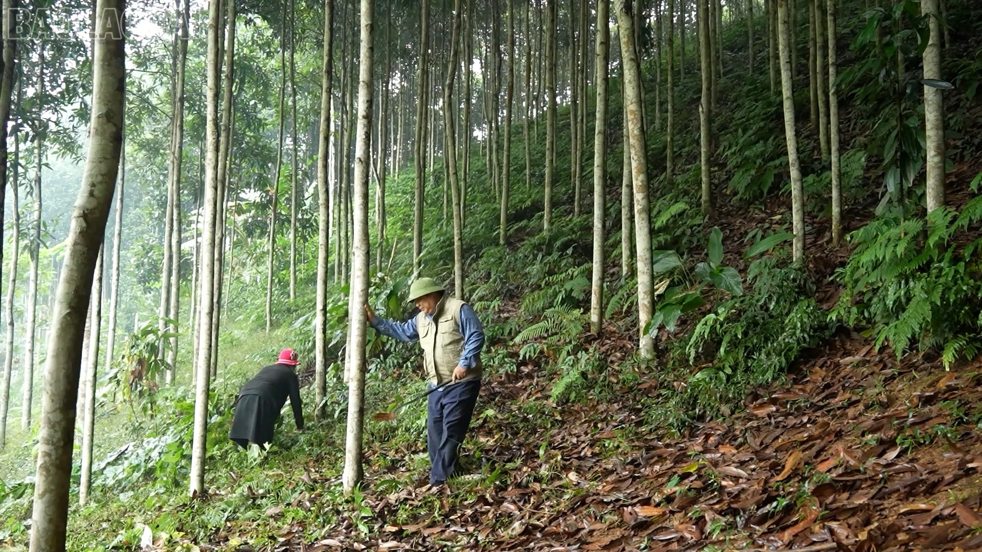 baolaocai-tl_khoa-hoc-7.jpg