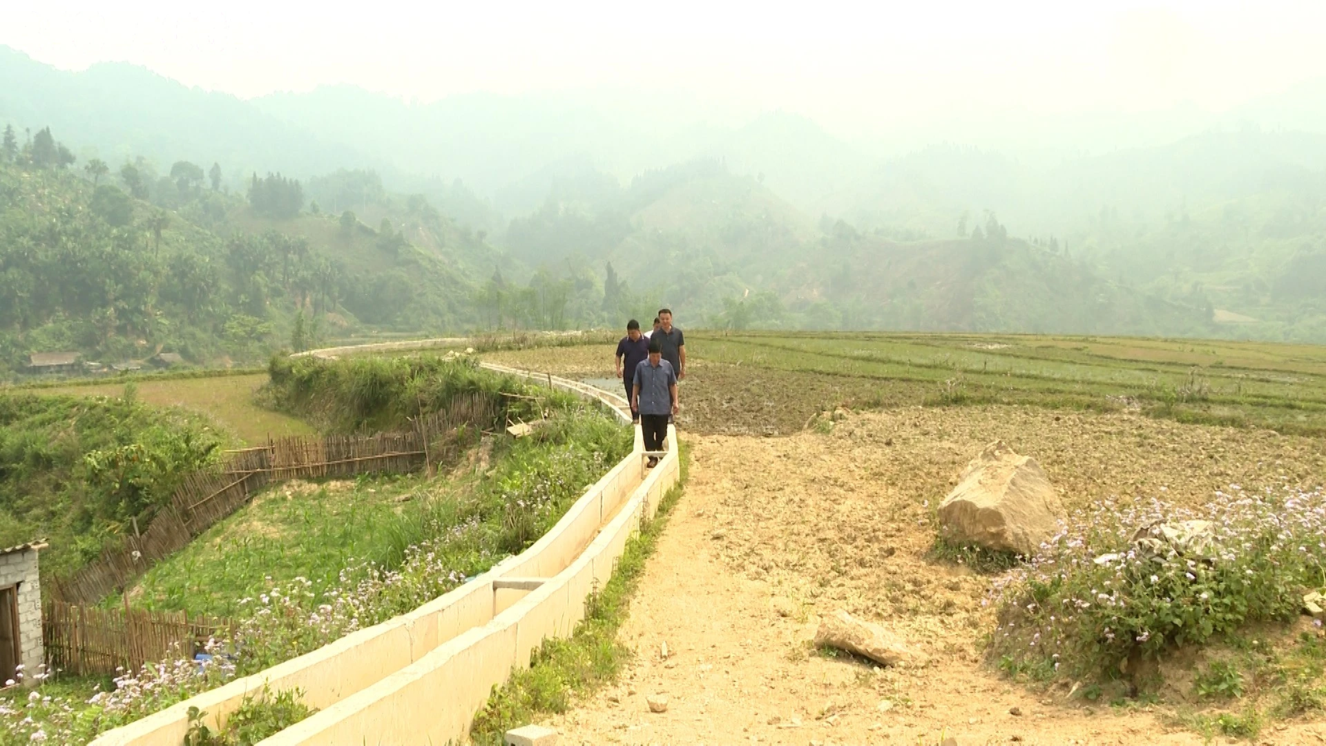 baolaocai-tl_hd-1.jpg