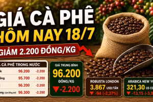 Giá cà phê hôm nay 18/7: Giảm sau hai phiên tăng