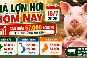 Giá lợn hơi hôm nay 18/7: Thị trường cả nước tạm chững