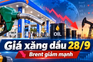 Giá xăng dầu hôm nay 28/9/2026: Brent giảm xuống dưới 100 USD