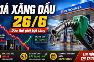Giá xăng dầu hôm nay 26/6: Xăng dầu trong nước giảm, dầu thế giới tăng