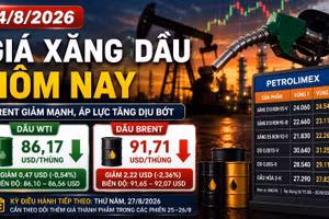 Giá xăng dầu hôm nay 24/8: Dầu thế giới quay đầu giảm