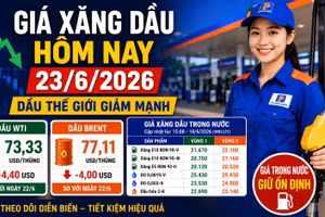 Giá xăng dầu hôm nay 23/6: Dầu thế giới giảm sâu, trong nước chờ điều chỉnh