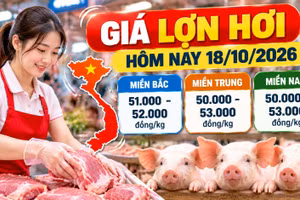 Giá lợn hơi hôm nay 18/10/2026: Thấp nhất 50.000 đồng/kg