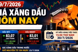 Giá xăng dầu hôm nay 29/7/2026: WTI tăng, Brent tiếp tục giảm