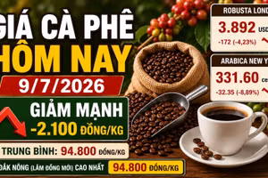Giá cà phê hôm nay 9/7 quay đầu giảm sâu sau phiên tăng sốc