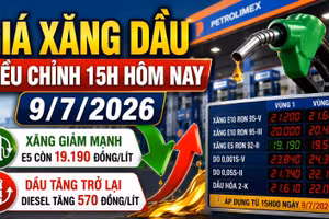 Giá xăng dầu 15h ngày 9/7: Xăng giảm, dầu tăng