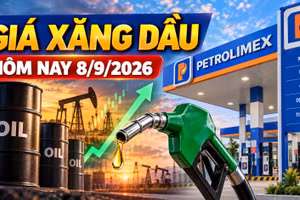Giá xăng dầu hôm nay 8/9: Dầu thế giới leo cao, áp lực tăng giá trong nước