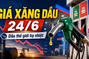 Giá xăng dầu hôm nay 24/6: Trong nước ổn định, thế giới hạ nhiệt