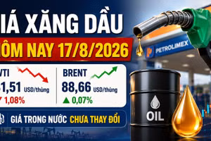 Giá xăng dầu hôm nay 17/8: WTI giảm, Brent vẫn trên 88 USD