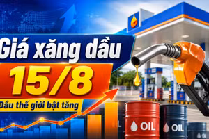 Giá xăng dầu hôm nay 15/8/2026: Dầu thế giới bật tăng trở lại