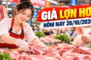 Giá lợn hơi hôm nay 26/10: Nhiều địa phương ở mức 46.000 - 47.000 đồng/kg