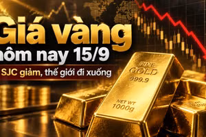 Giá vàng hôm nay 15/9/2026: Vàng thế giới giảm sốc, SJC chờ thay đổi