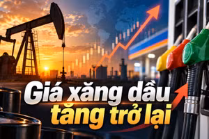 Giá xăng dầu hôm nay 15/9: Dầu thế giới tăng, áp lực lên kỳ điều chỉnh mới