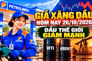 Giá xăng dầu hôm nay 26/10: Dầu thế giới hạ nhiệt mạnh đầu tuần