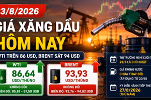 Giá xăng dầu hôm nay 23/8: Dầu thế giới giữ mức cao