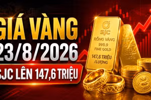 Giá vàng hôm nay 23/8: SJC tăng tiếp, vàng nhẫn tiến sát 150 triệu đồng