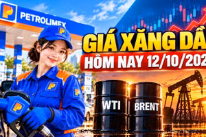 Giá xăng dầu hôm nay 12/10/2026: Dầu thế giới biến động nhẹ đầu tuần