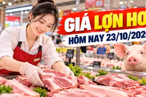 Giá lợn hơi hôm nay 23/10/2026: Thấp nhất 46.000 đồng/kg