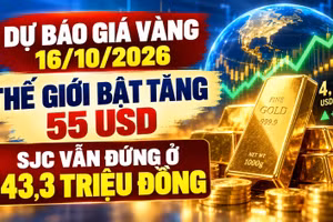 Giá vàng hôm nay 16/10/2026: Vàng thế giới phục hồi mạnh, SJC chưa tăng theo