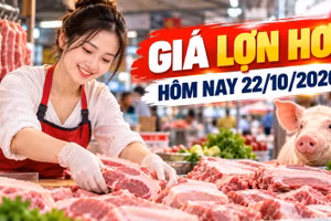 Giá lợn hơi hôm nay 22/10: Cả nước dao động 47.000 - 52.000 đồng/kg