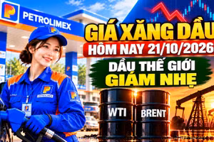 Giá xăng dầu hôm nay 21/10: Dầu thế giới giảm nhẹ trước kỳ điều hành 22/10