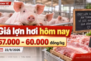 Giá lợn hơi hôm nay 22/9 ổn định, mốc 60.000 đồng/kg chưa lan rộng