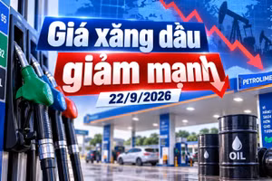 Giá xăng dầu hôm nay 22/9: Giá dầu thế giới lao dốc, xăng ngày 24/9 có giảm?