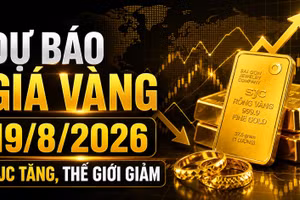 Giá vàng hôm nay 19/8: SJC, BTMC, DOJI, PNJ giảm theo vàng thế giới?
