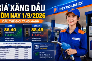 Giá xăng dầu hôm nay 1/9: Dầu thế giới biến động mạnh