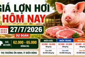 Giá lợn hơi hôm nay 27/7: Miền Bắc cao nhất 65.000 đồng/kg