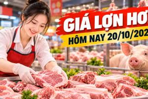 Giá lợn hơi hôm nay 20/10: Miền Bắc phổ biến 51.000 - 52.000 đồng/kg