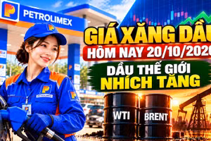 Giá xăng dầu hôm nay 20/10: Dầu thế giới tăng, áp lực giá trong nước còn lớn