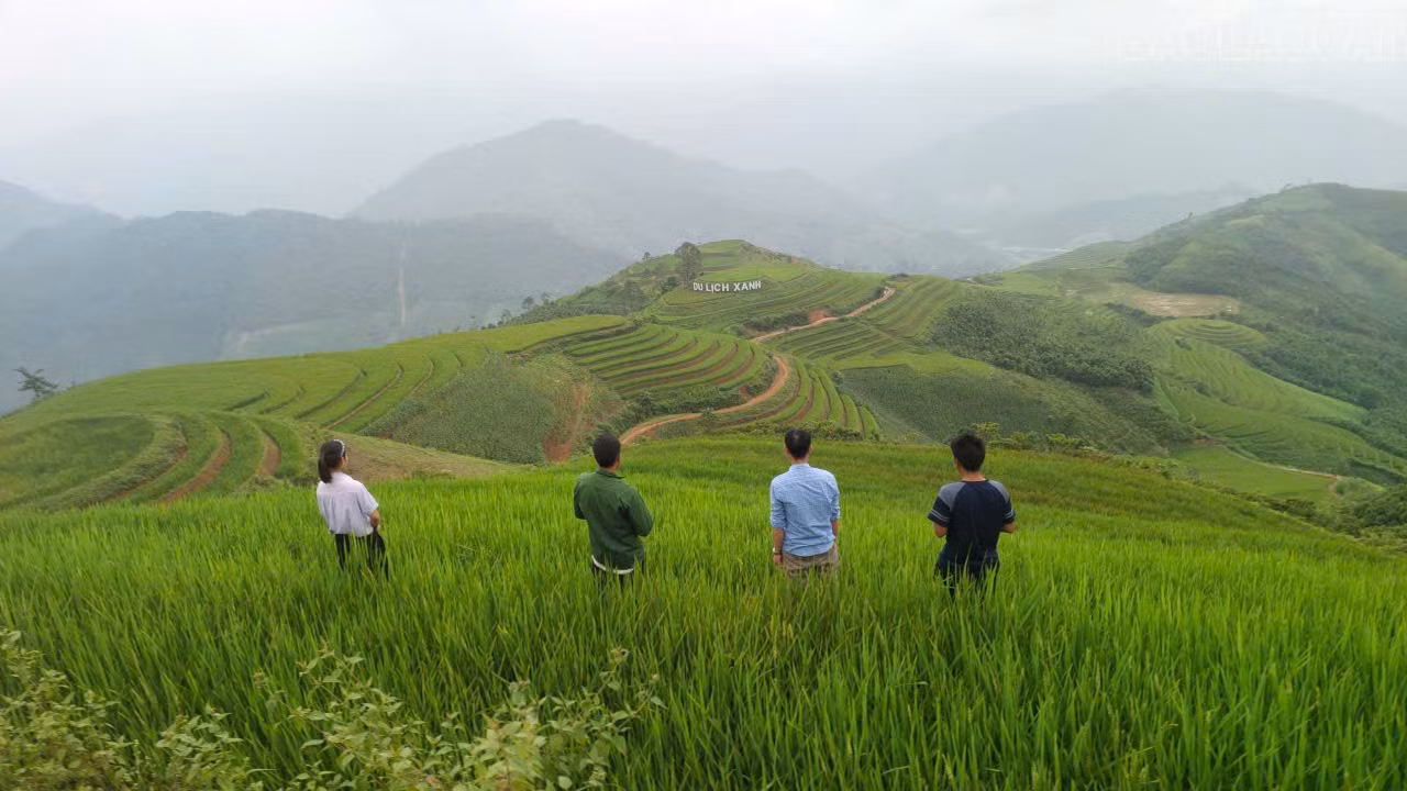baolaocai-tr_ruong.jpg