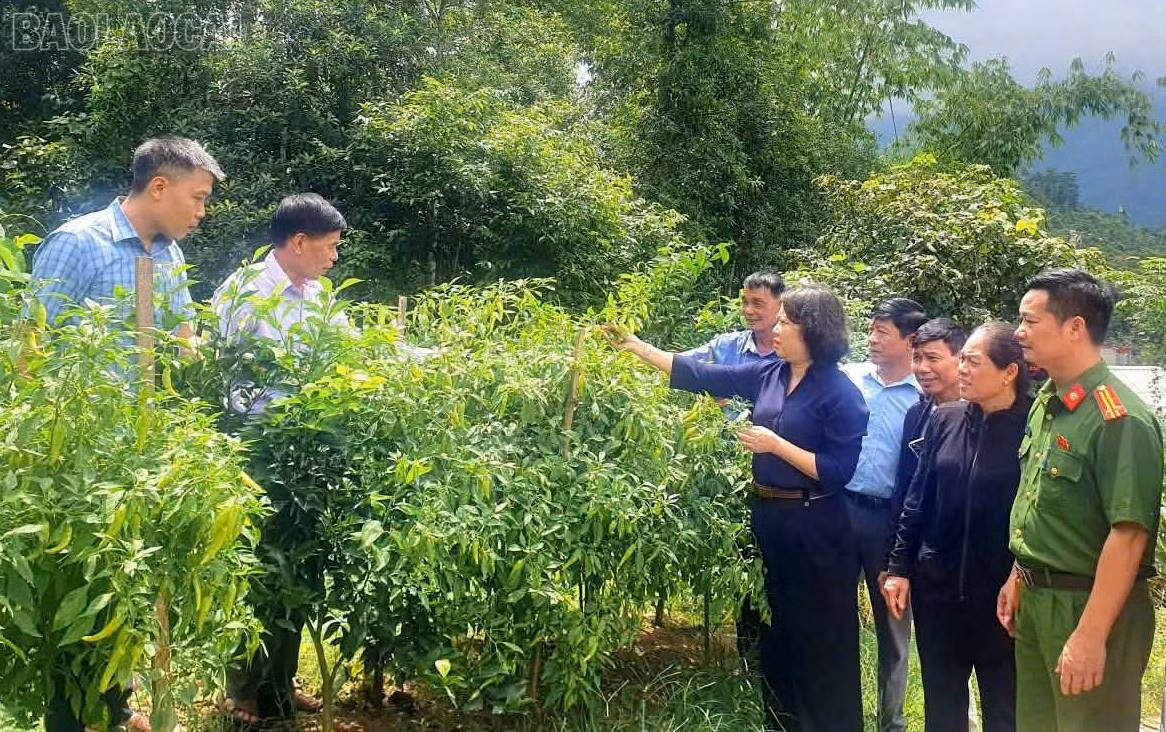 baolaocai-tl_dong-chi-bui-thi-doan.jpg