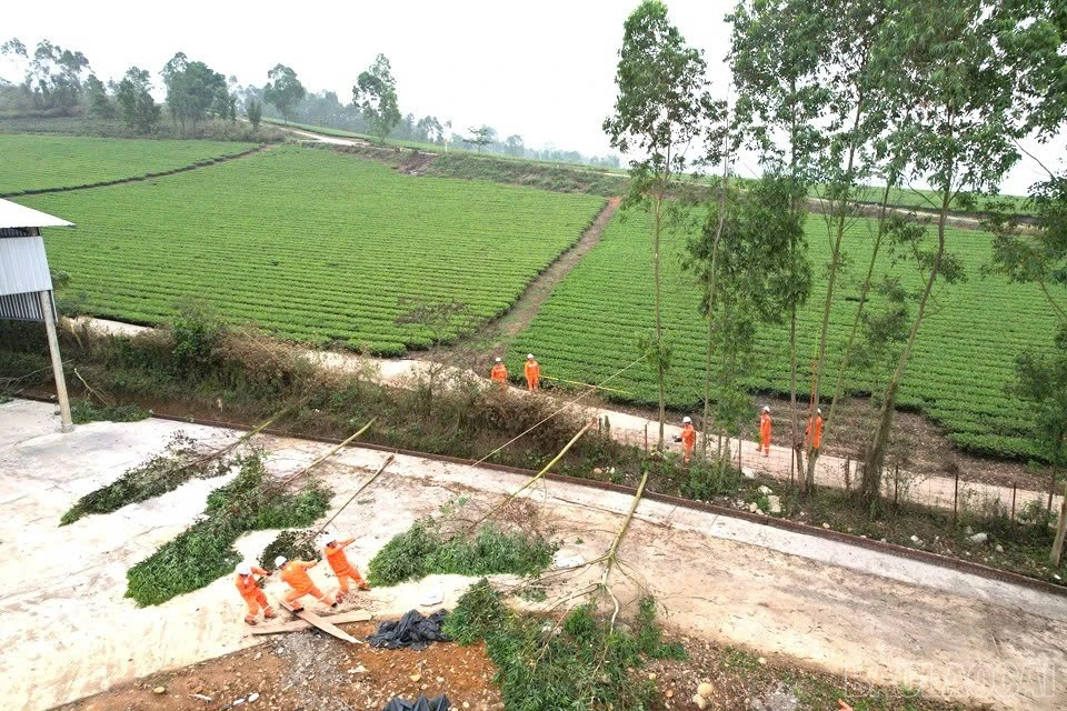 baolaocai-br_z7819731404300-c8bf24b03cbb9e6d3299e7d837223d98.jpg